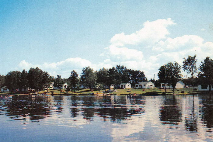 Vagabond Ironwood (newer photo)